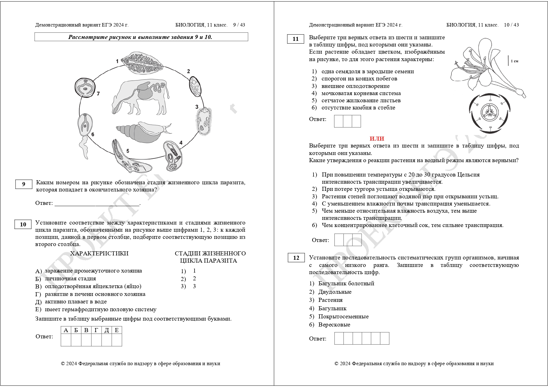 Демоверсия подготовки к ЕГЭ по биологии 2024 | LANCMAN SCHOOL