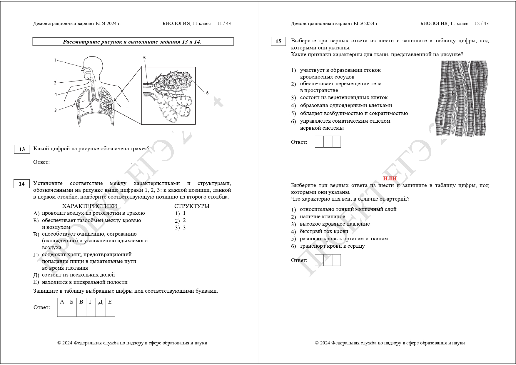 Демоверсия подготовки к ЕГЭ по биологии 2024 | LANCMAN SCHOOL