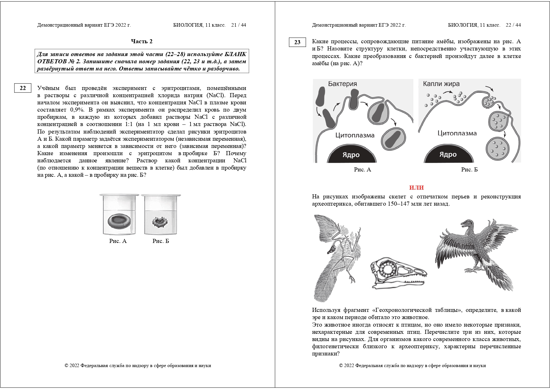 ЕГЭ биология 2022
