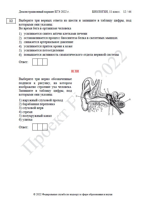 Демоверсия ЕГЭ по биологии 2022