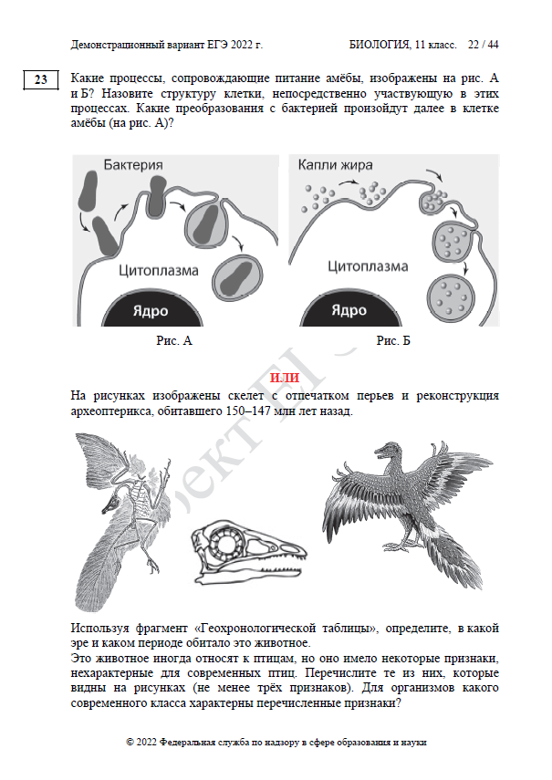 Демоверсия ЕГЭ по биологии 2022