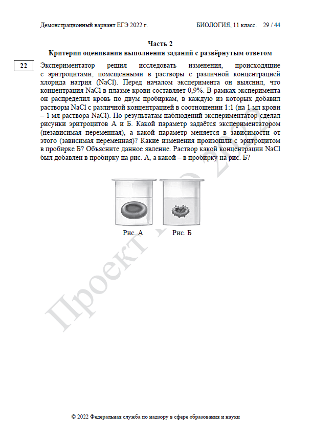 Демоверсия ЕГЭ по биологии 2022