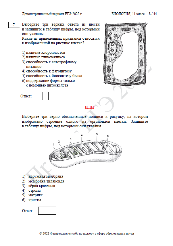 Демоверсия ЕГЭ по биологии 2022