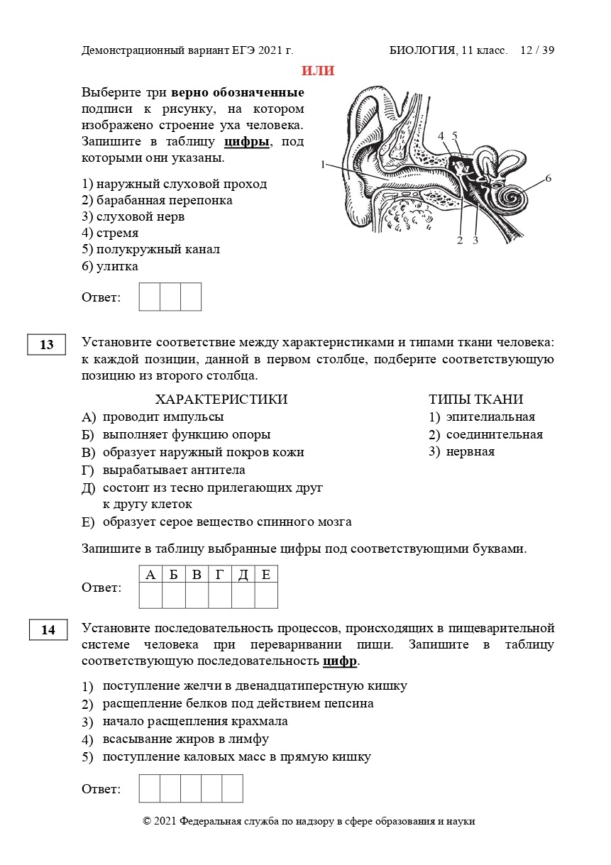 ЕГЭ по биологии 2021 | LANCMAN SCHOOL