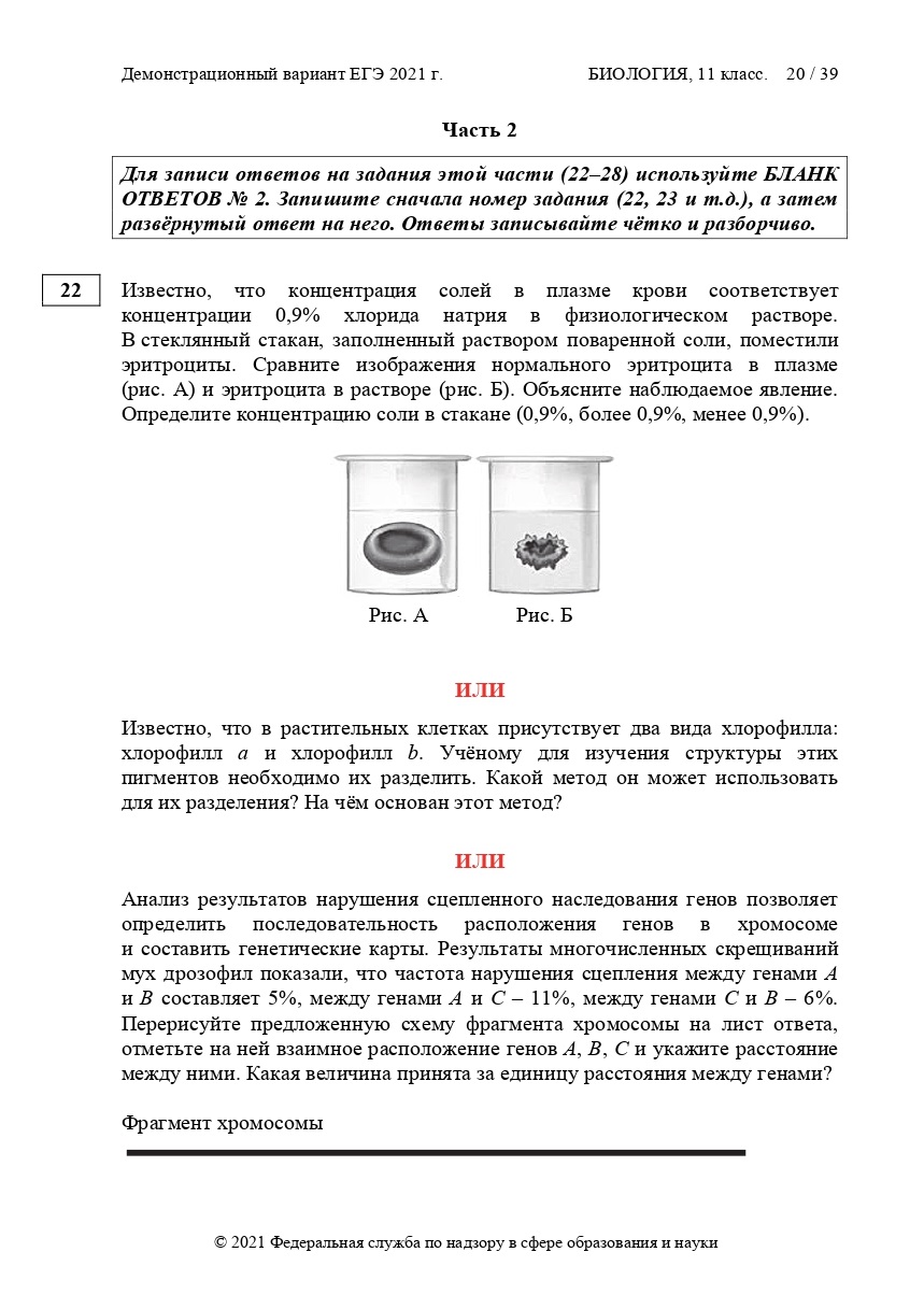 ЕГЭ по биологии 2021 | LANCMAN SCHOOL