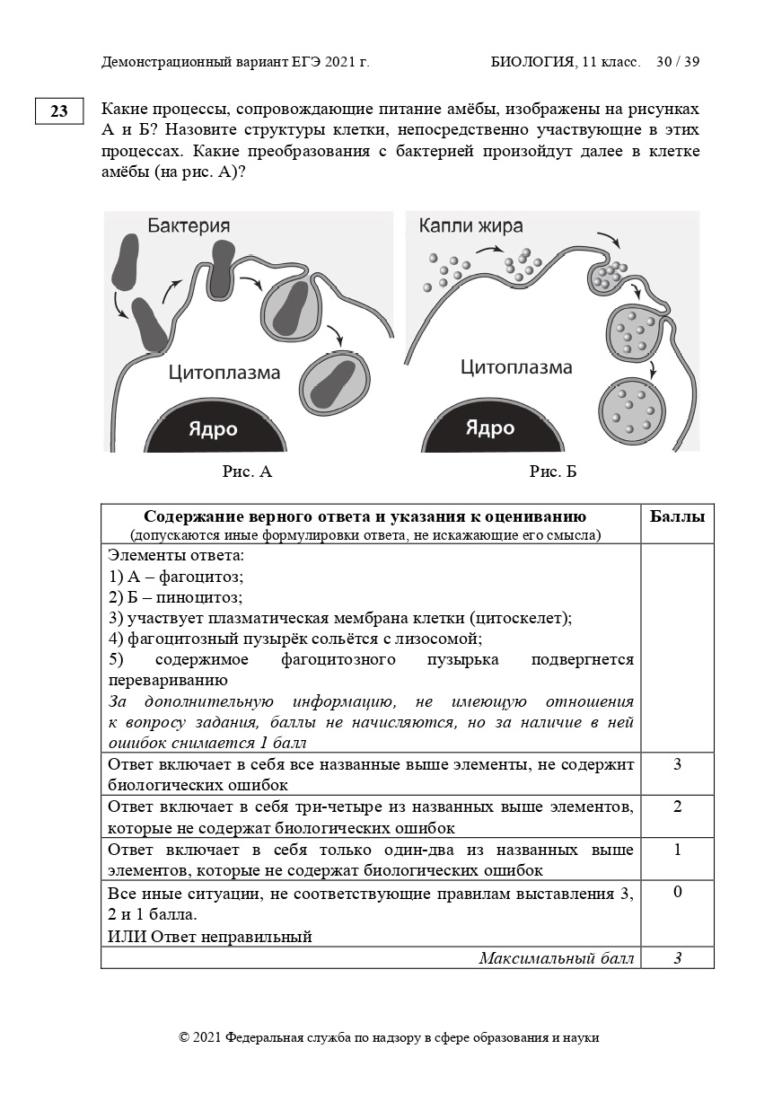 Пробник по биологии. Коэволюция ЕГЭ биология 2021. Вариант ЕГЭ биология 2021. Реальный вариант ЕГЭ по биологии 2021. ЕГЭ биология 2021 слив.