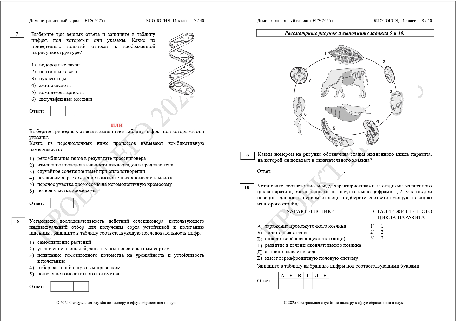 демоверсия ЕГЭ биология 2025
