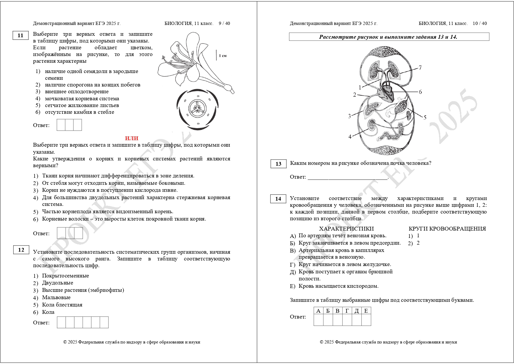 демоверсия ЕГЭ биология 2025